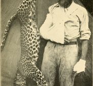 Explorer Carl Akeley Kills A Leopard With His Bare Hands