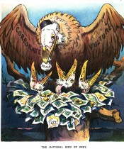 National Bird of Prey Cartoon 1905 Puck Magazine