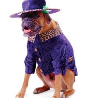 Prince in one of his famous costumes