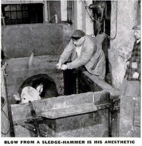 lucky-boy-3-copyright-life-magazine-jan-8-1940