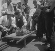 Books About The General Slocum Disaster